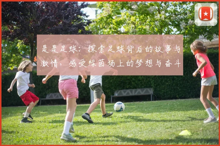 是是足球：探索足球背后的故事与激情，感受绿茵场上的梦想与奋斗